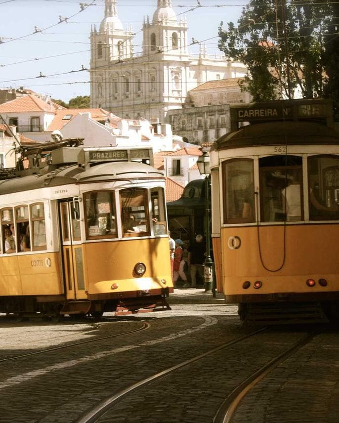 Цирковое шоу